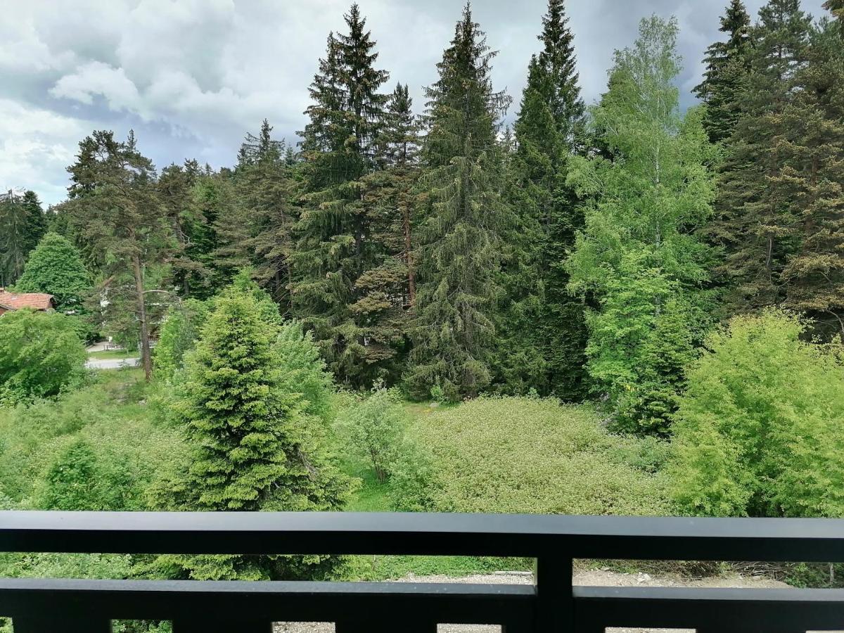 Borovets Gardens Studio D36 Экстерьер фото